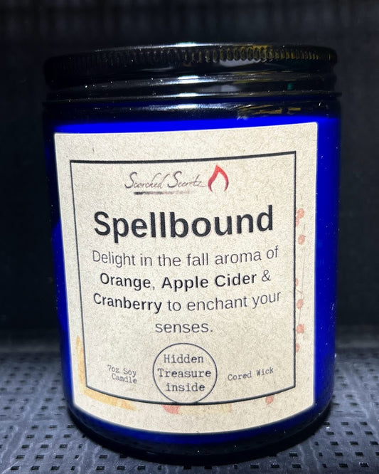 "Spellbound" Orange, Apple Cider & Cranberry Candle Scent | 100% Soy Wax with a Hidden Treasure