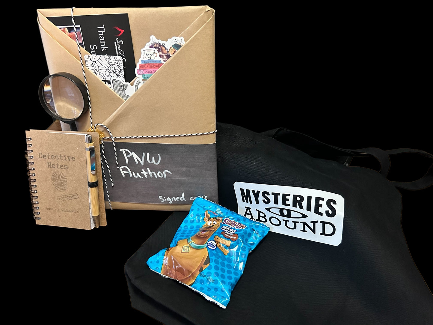 Youth Mystery Book Bundle | Signed Copy by PNW Author